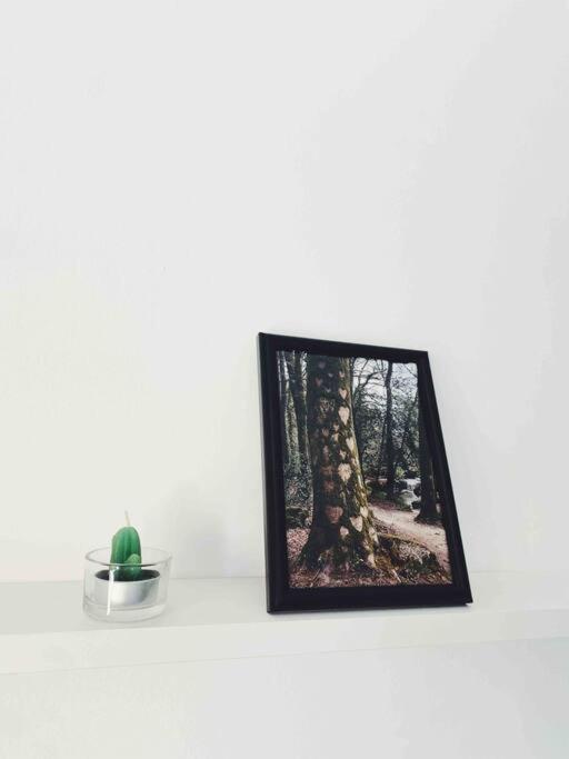 ソペラーナPrecioso Apartamento Con Banera Hidromasajeアパートメント エクステリア 写真